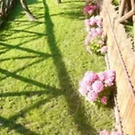 프레스티지 4* 소렌토